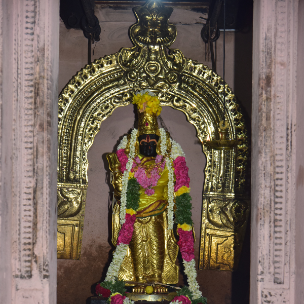 வடிவுடை அம்மன்